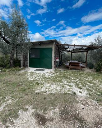 Azienda Agricola in Sabina - centro aziendale