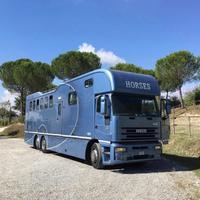 Van Iveco trasporto cavalli con living
