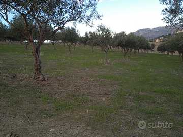 Terreno agricolo c/da Tabasi-Poio
