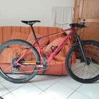 MTB Front Carbonio XC900 TG L