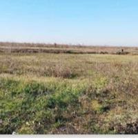 RGE 177/2023 Tribunale Verona