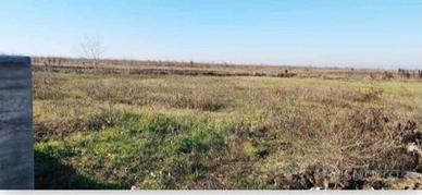 RGE 177/2023 Tribunale Verona