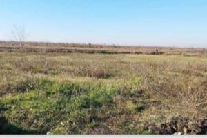 RGE 177/2023 Tribunale Verona