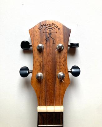 Ukulele Anuenue Koa Lani 2 concerto
