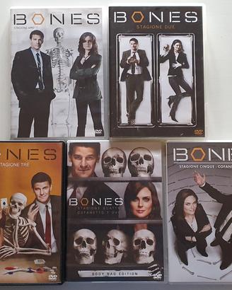 Bones stagioni 1 a 5