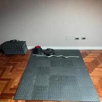 Palestra home gym