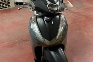 Sh300 Air Force 2019 targa polacca