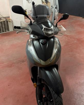 Sh300 Air Force 2019 targa polacca