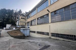 Capannone anzano del parco