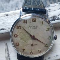 Diantus  anni 60