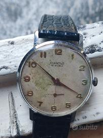 Diantus  anni 60