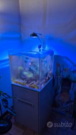 led cetus 2 acquario 