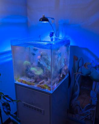 led cetus 2 acquario 