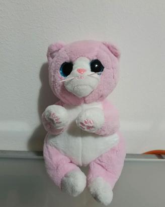 Peluches gattino