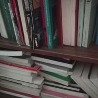 Libri liceo università arte letteratura storia