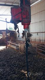 Tosatrice per pecore