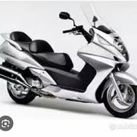 silver Wing 600