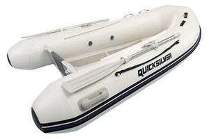 Quicksilver 270 Alu-Rib + Motore Mercury F6 MH