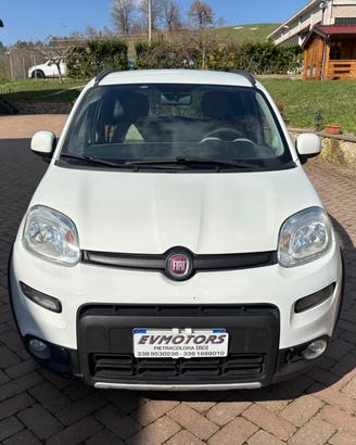 Fiat Panda 1.3 MJT S&S 4x4 Lounge Van 2 posti