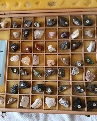 Collezione minerali I TESORI DELLA TERRA