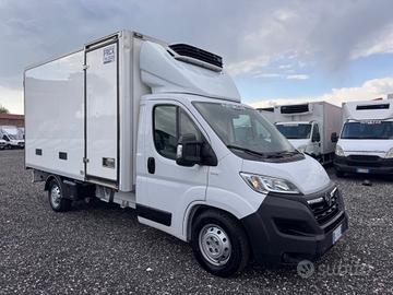 Opel movano cella frigo 3.90 Mt 2022 Euro 6