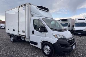 Opel movano cella frigo 3.90 Mt 2022 Euro 6