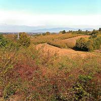 TERRENO POSIZIONE PANORAMICA -- zona ROERO