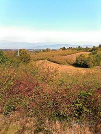 TERRENO POSIZIONE PANORAMICA -- zona ROERO