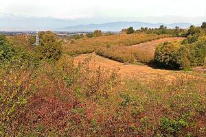 TERRENO POSIZIONE PANORAMICA -- zona ROERO