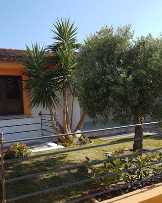 Settembre villetta nella marina di sarrala