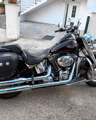 H.D. De Luxe km. 12500