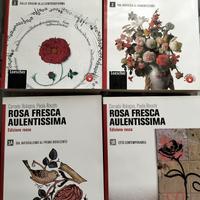 libri letteratura 