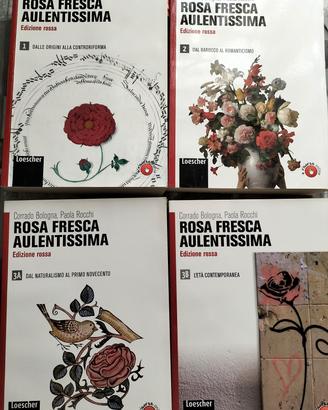 libri letteratura 