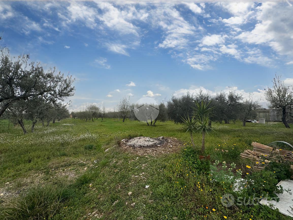 TER. AGRICOLO A LUCERA - Vista 3