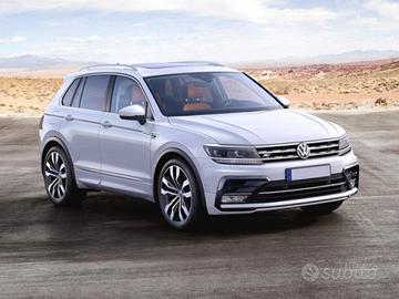 VOLKSWAGEN Tiguan 2.0 TDI SCR DSG Advanced BlueM