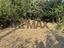 Immagine 28