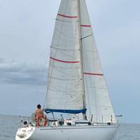 Barca a vela new ranger 29 piedi