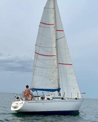 Barca a vela new ranger 29 piedi