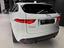 Immagine 7