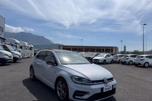 Volkswagen Golf 1.6 TDI 115 CV 5p. R-Line BlueMoti