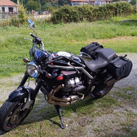 Moto Guzzi griso 1100