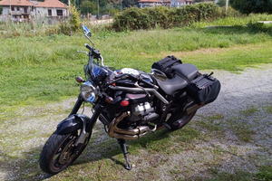 Moto Guzzi griso 1100