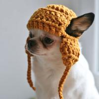 Cappello per Toy chihuahua o gatto