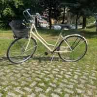 Bicicletta da passeggio