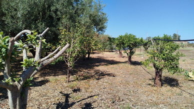 Vendita terreno in contrada Vignali