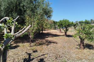 Vendita terreno in contrada Vignali