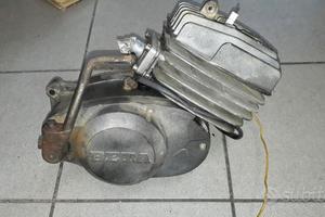 Beta Alp 50 : motore forcella cerchio