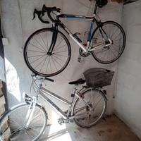 bici da corsa e da passeggio