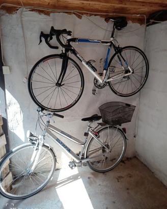 bici da corsa e da passeggio