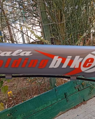 bici pieghevole